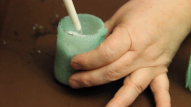 Сеем лобелию и петунию. Тонкости успешной посадки. смотреть онлайн