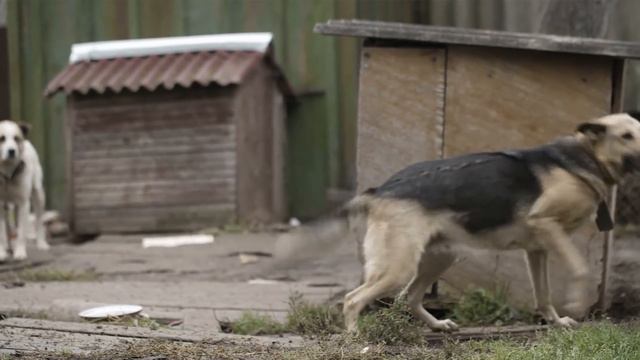 Старушка схватила своего внука и хотела сделать непоправимое. Всё могло закончиться плохо, но... смотреть онлайн