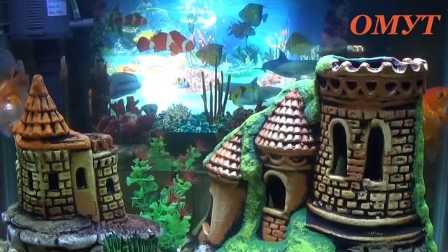 209. ДА ,ПРОСТО НУЖНОЕ ПО ЖИЗНИ. И ВАШИ КОММЕНТЫ... смотреть онлайн