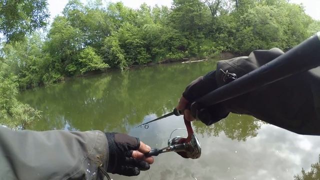Деликатес по Сахалински. Ловля горбуши. Горячее копчение.Сахалинская рыбалка & Sakhalin fishing смотреть онлайн