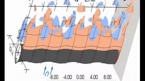 Vortex Structures in the Wake of a Harbor Seal Vibrissa