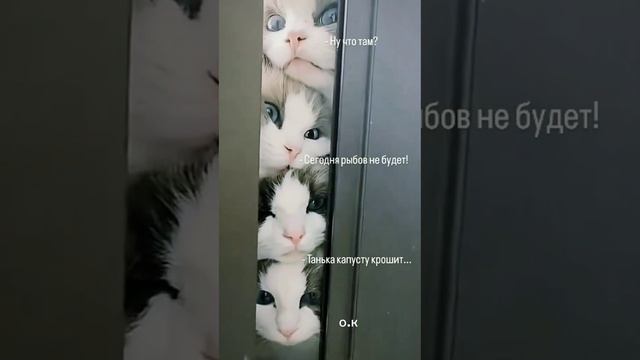 💯🥰🥰🥰🥰 смотреть онлайн