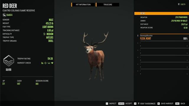 My Subscriber Helps Me Get A Diamond! | theHunter: Call of the Wild - Cuatro Colinas смотреть онлайн