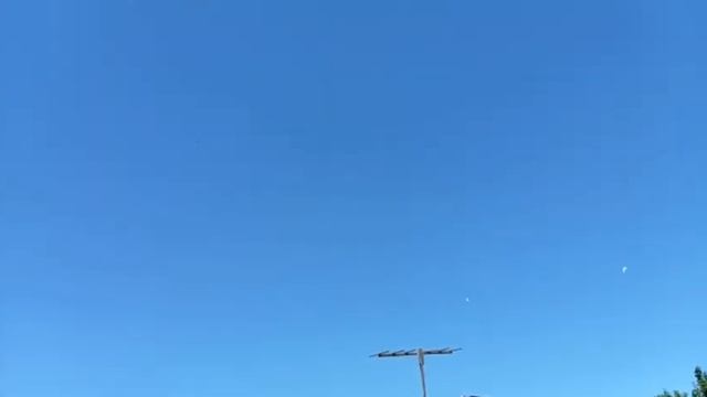 Агасиевские бойные голуби смотреть онлайн