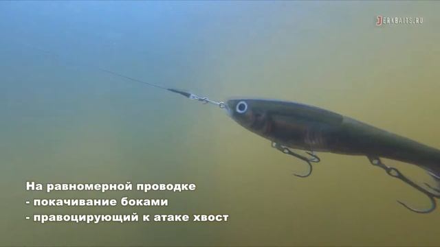 RAPALA X-Rap OTUS 24см -работа приманки , джерк со сменным хвостом (свимбейт) смотреть онлайн