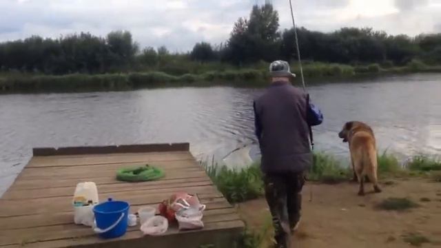 Стрелецкий Ручей 11/08- 2 смотреть онлайн