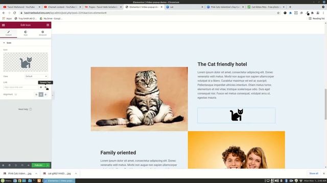 How to setup an icon or button on click image popup in Elementor смотреть онлайн