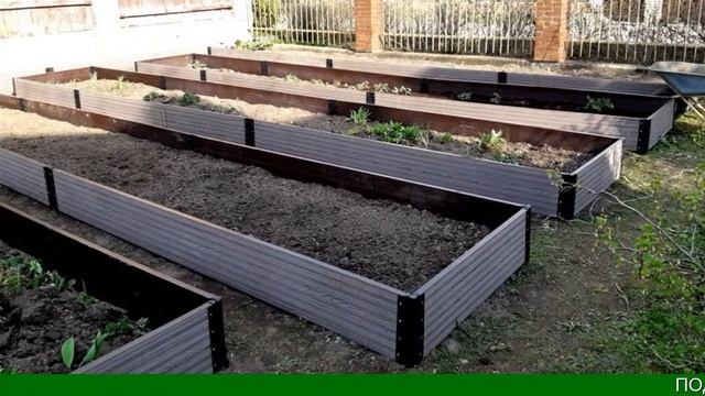 Еврогрядка Высокая Дпк смотреть онлайн