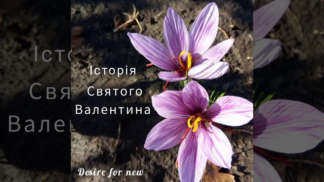 Історія - Святий Валентин смотреть онлайн