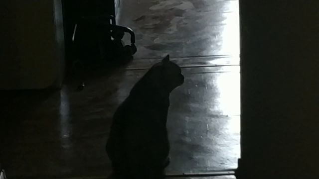 ЗАВОРИЛ МИВИНУ А КРУЖКЕ ??? что из этого получилось?