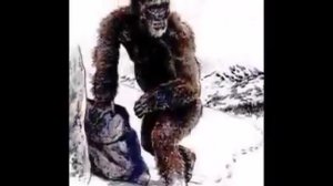 Реальные истории ,что снежный человек существует.Свидетельства  о встрече с снежным человеком/大腳怪