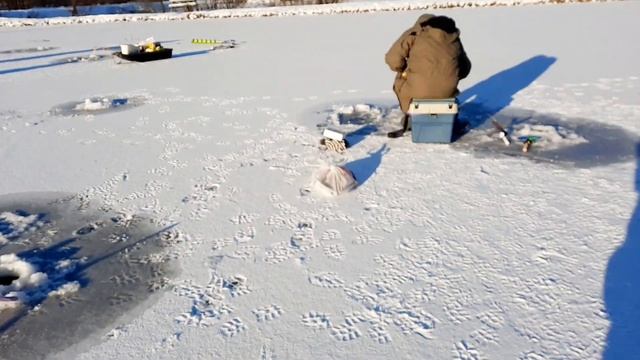 Ловля нельмы на 2-га РК"ФИШКА"ПЕТРЯИХА. смотреть онлайн