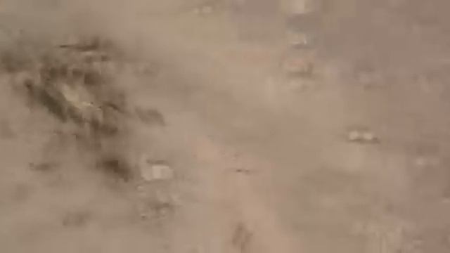 camel spider vs army of ants смотреть онлайн