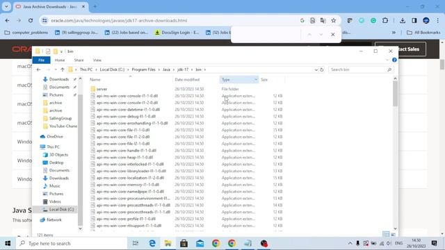 How to Download and Install JDK | set JAVA Path on Windows 10 смотреть онлайн