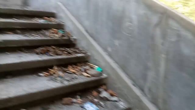 ВФ Сочи замок с приведениями смотреть онлайн