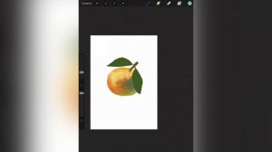 Рисую мандарин на айпаде / Процесс рисования