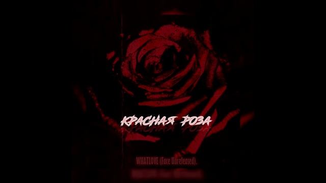 WHATLOVE- КРАСНАЯ РОЗА (Face Unreleased) смотреть онлайн