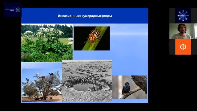 Сохранение мест обитания -  ключевая проблема охраны природы. Дмитрий Беляев