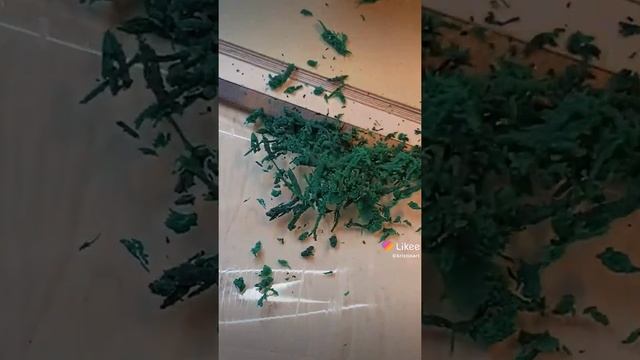 делаем клячку смотреть онлайн