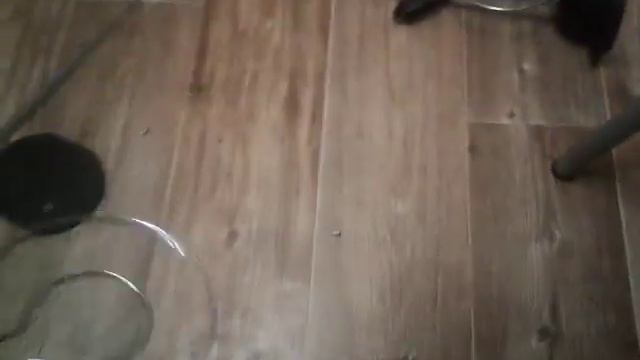 Андрей Нифедов!!или по следам лох-патруля смотреть онлайн