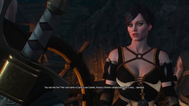 Witcher 3 [Hidden Dialogue]: Ask Fringilla Vigo about Cantarella AKA Sasha смотреть онлайн