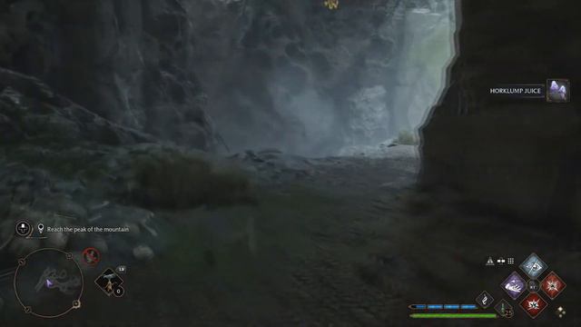 Hogwarts Legacy Phoenix Rising смотреть онлайн