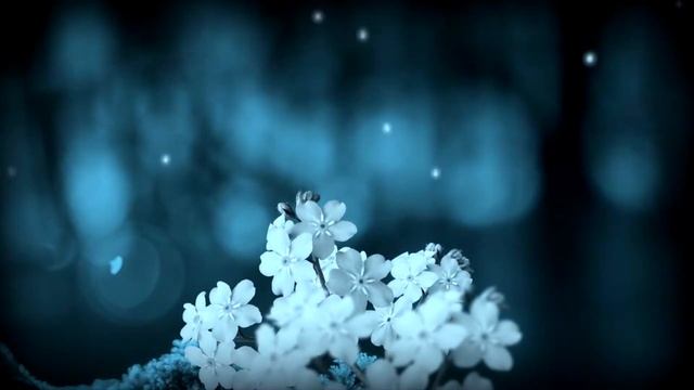 Муза Даурская_Агата Кристи 