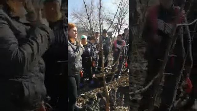 Веретенообразная формировка деревьев смотреть онлайн