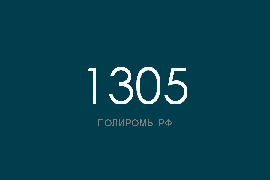 ПОЛИРОМ номер 1305 смотреть онлайн