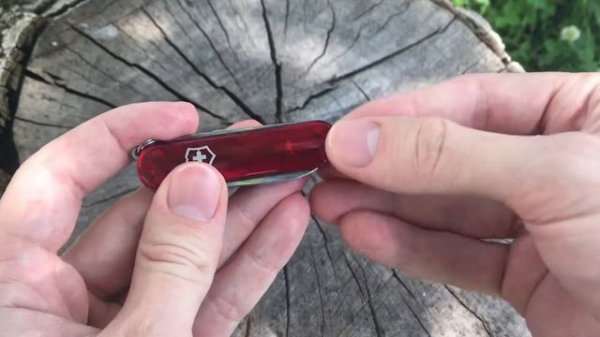 Городской нож Victorinox Signature. Нужный спутник.