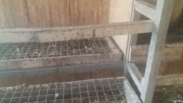 комфортная среда в курятнике летом без кондиционера смотреть онлайн