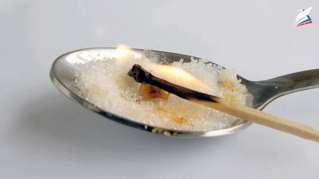 5 класс биология урок 1 Биология – наука о живых организмах смотреть онлайн