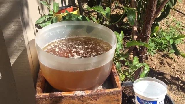 The Ultimate Free , Organic Fertilizer ! Urine .