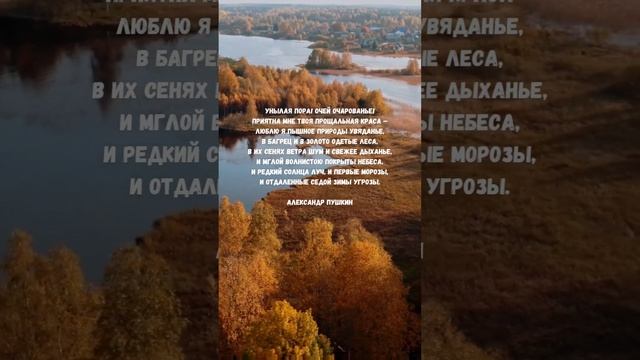 Унылая пора... | Александр Пушкин #стихи #пушкин #поэзия #осень смотреть онлайн