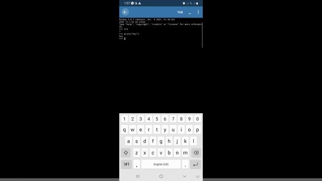 Python App in mobile смотреть онлайн