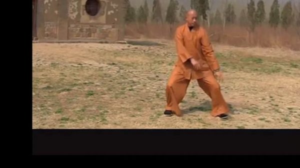 master wu nanfang doing zhuanggong