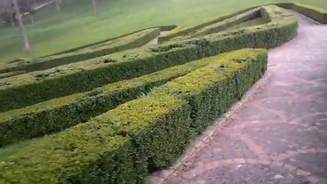 Лабиринт из растений, Умань, Софиевский парк смотреть онлайн