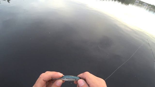 Воблер Zipbaits Rigge 90SP . Щучий любимчик !!!! смотреть онлайн