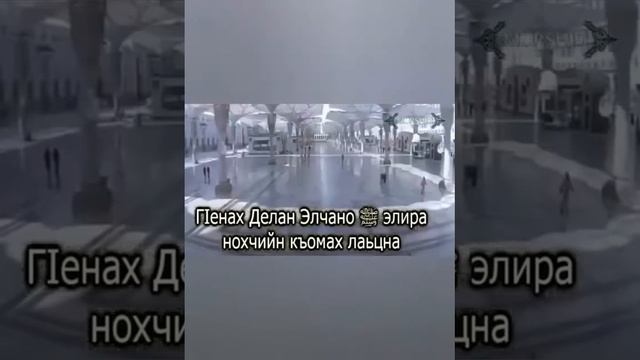 СОН В КОТОРОМ ВИДЕЛИ ПРОРОКА МУХЬАММАДА АЛАЙХИ САЛАМ смотреть онлайн