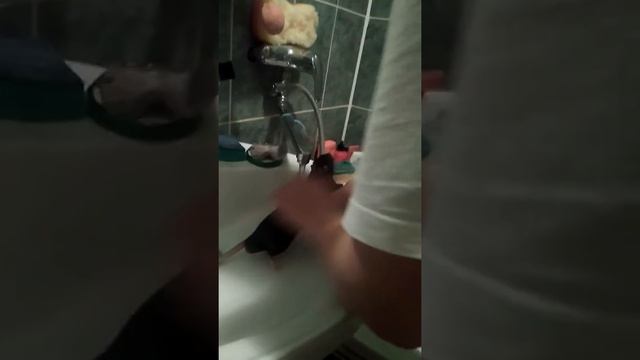 как правильно мыть крысу смотреть онлайн