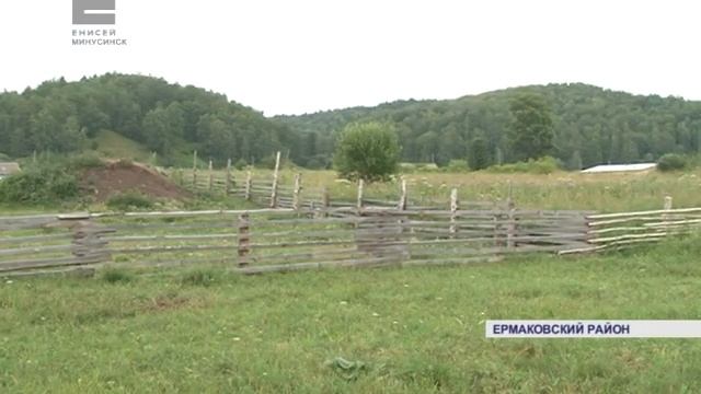 Повилика европейская смотреть онлайн