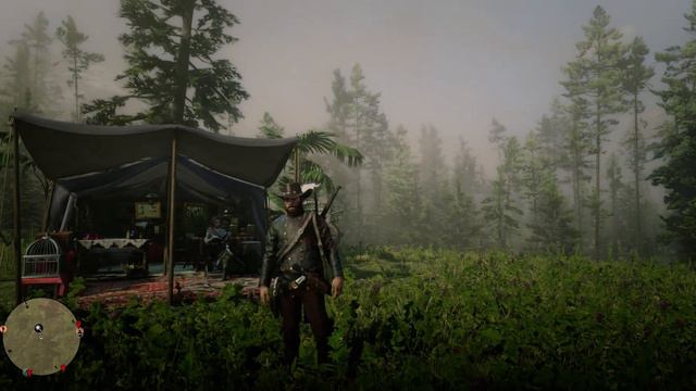 «Создано или использовано маскирующих тоников» - RDR 2 Online (ПК) [1080 HD] смотреть онлайн