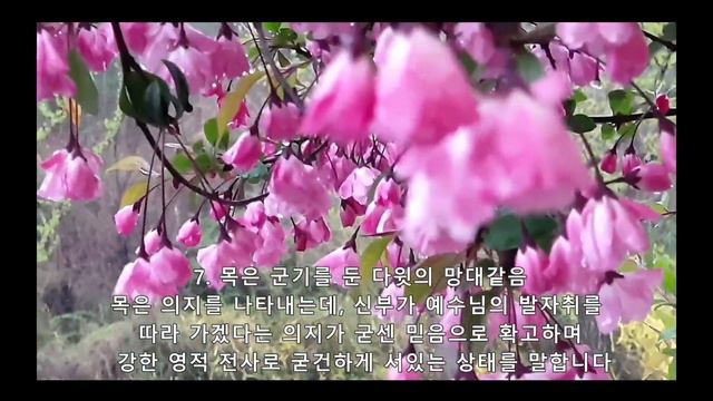 아가서(Song of songs) 3 : 주님 마음 빼앗은 신부의 모습(1), 아가서 4장1절~8절 смотреть онлайн