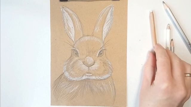 How to draw a rabbit // Как нарисовать кролика // Карандаш, белая пастель. смотреть онлайн