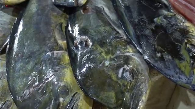 Бали, Рыбный рынок Джимбаран - как выбрать рыбу, цены смотреть онлайн