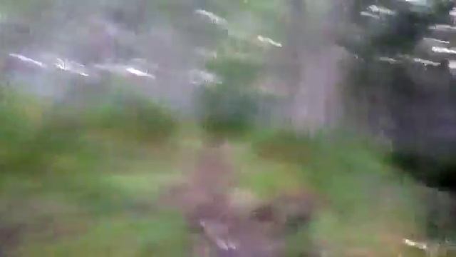 Как Русские бегают за медведями ! смотреть онлайн