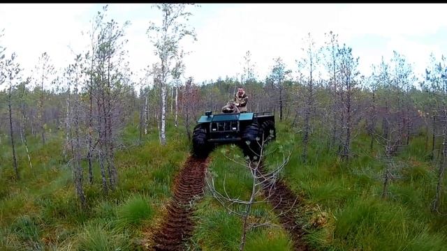 Вологодский каракат