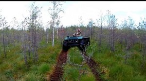 Вологодский каракат