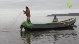 С полем! "Рыбное дело" Часть 2