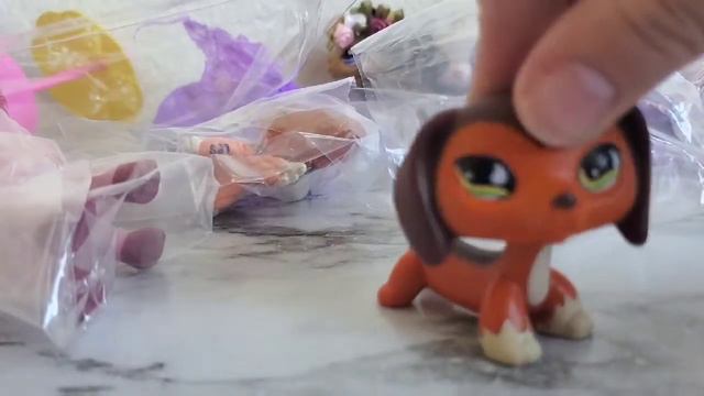 Advent Calendar & LPS Unboxing!